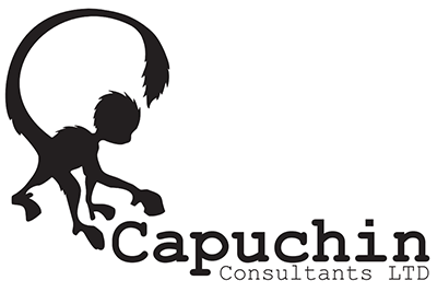 Capuchin- Construction Cost Management